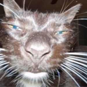 Meet your Posher, Zaiah